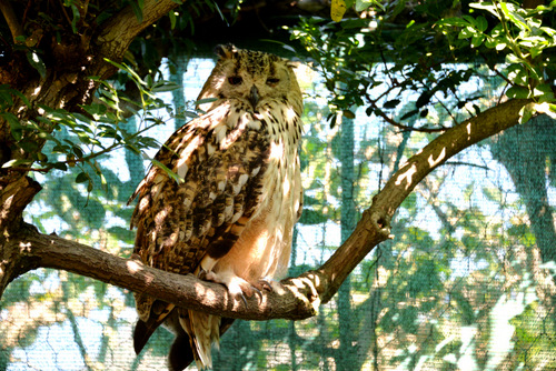 World of Birds Wildlife Sanctuary.